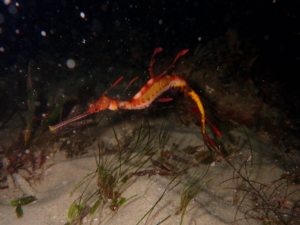 720716cc-e1e0-4e8e-b44f-a9ad1479aff8