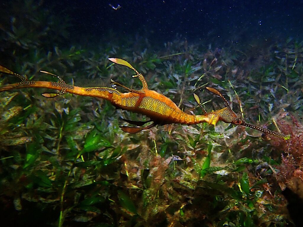 d5acfcb3-ebc3-4a66-b383-69c001f959ea