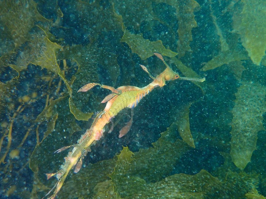 b9e245a5-6f76-47cb-ba8e-4c2882d98669