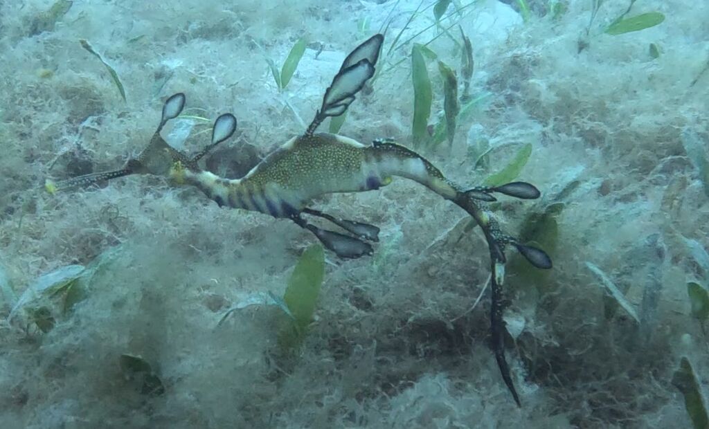 2e2cb532-7fd9-4bc3-86d1-956b73c082cc