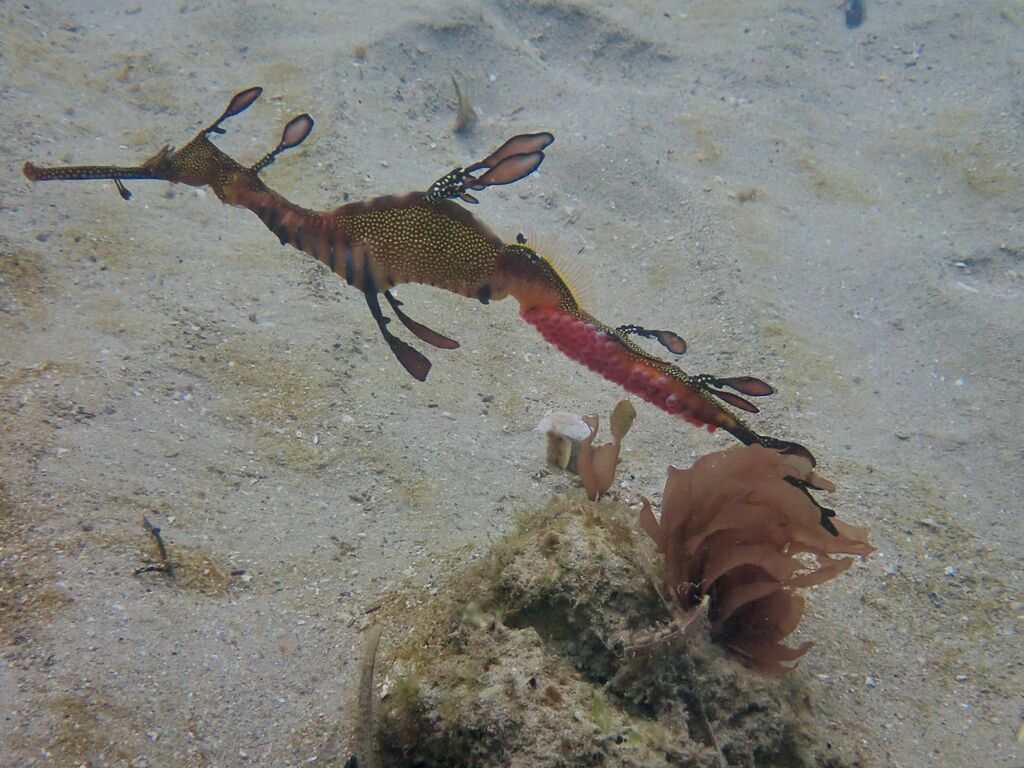 d2c1c4f5-3979-4d13-8943-f190cf8b1b90