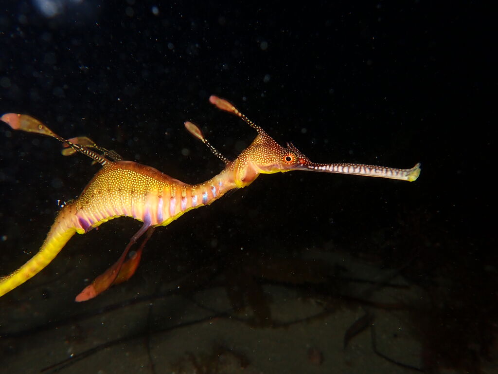 8bf71462-4eae-4e0f-b6c1-a13d4413f374