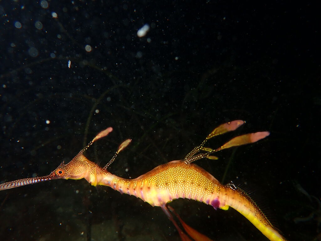 8bf71462-4eae-4e0f-b6c1-a13d4413f374