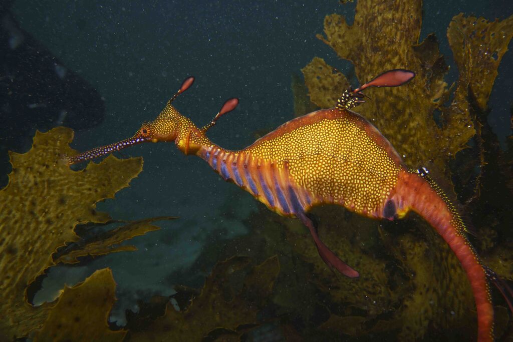 1a5175aa-8f88-447b-840c-d50a2a662e32