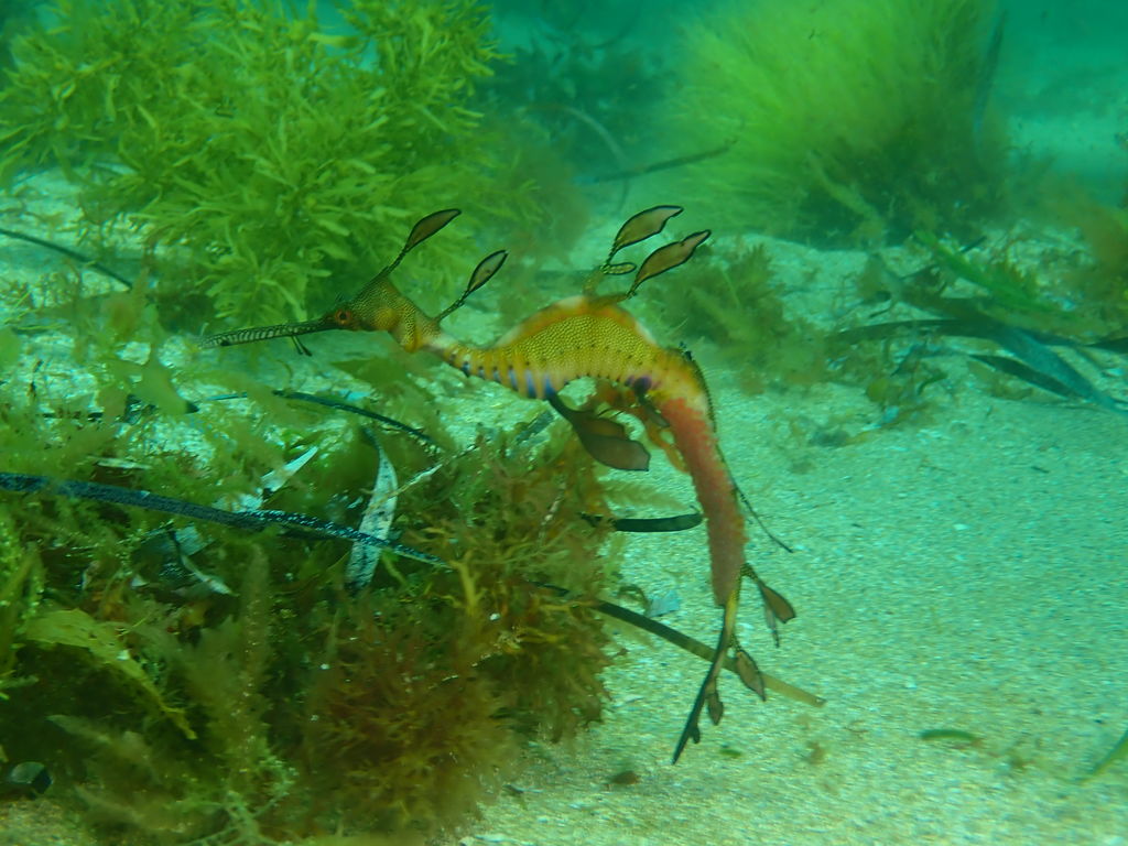 b9e245a5-6f76-47cb-ba8e-4c2882d98669