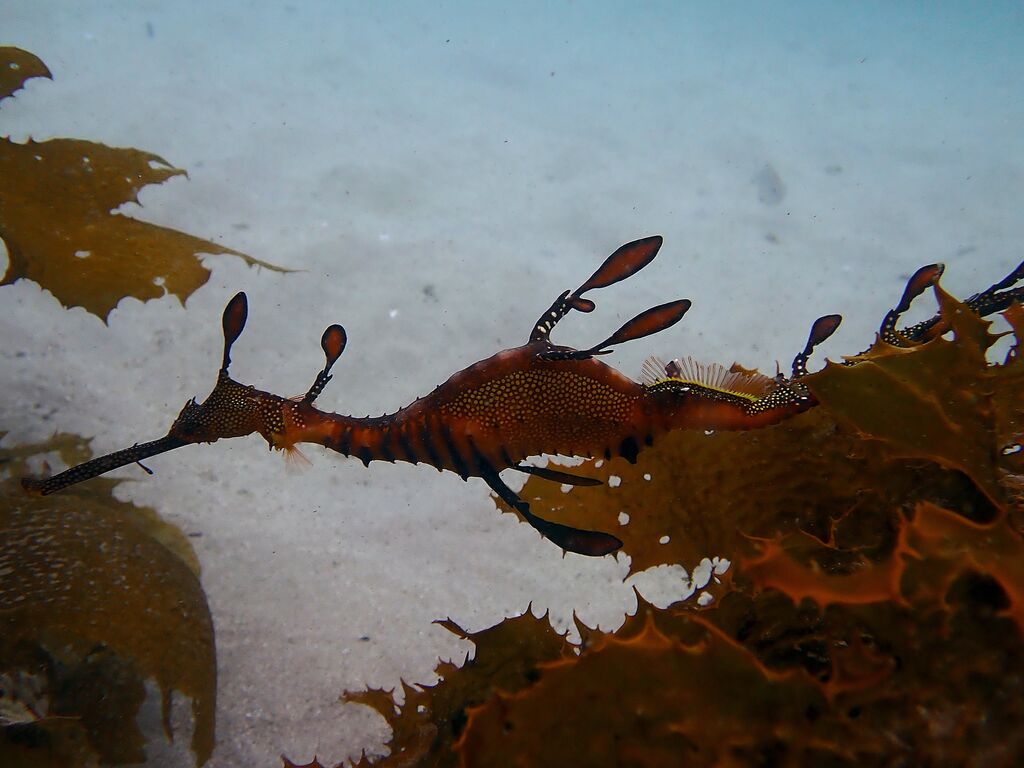 779bfbda-444f-4d52-8d1b-0a3e4da3adc2