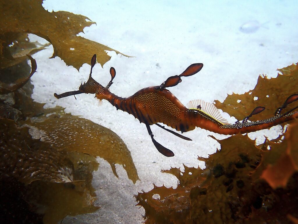 779bfbda-444f-4d52-8d1b-0a3e4da3adc2