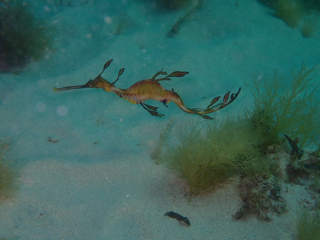 83fc6528-90a8-49d3-8c4d-1ed38d339fd1