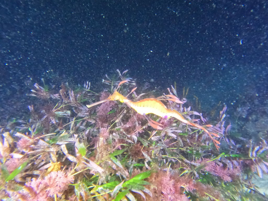 5c06c837-3f24-458b-84fa-d5a12ba460c1