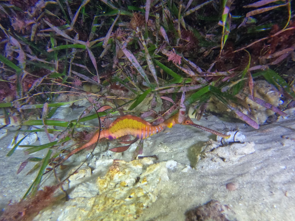 5c06c837-3f24-458b-84fa-d5a12ba460c1