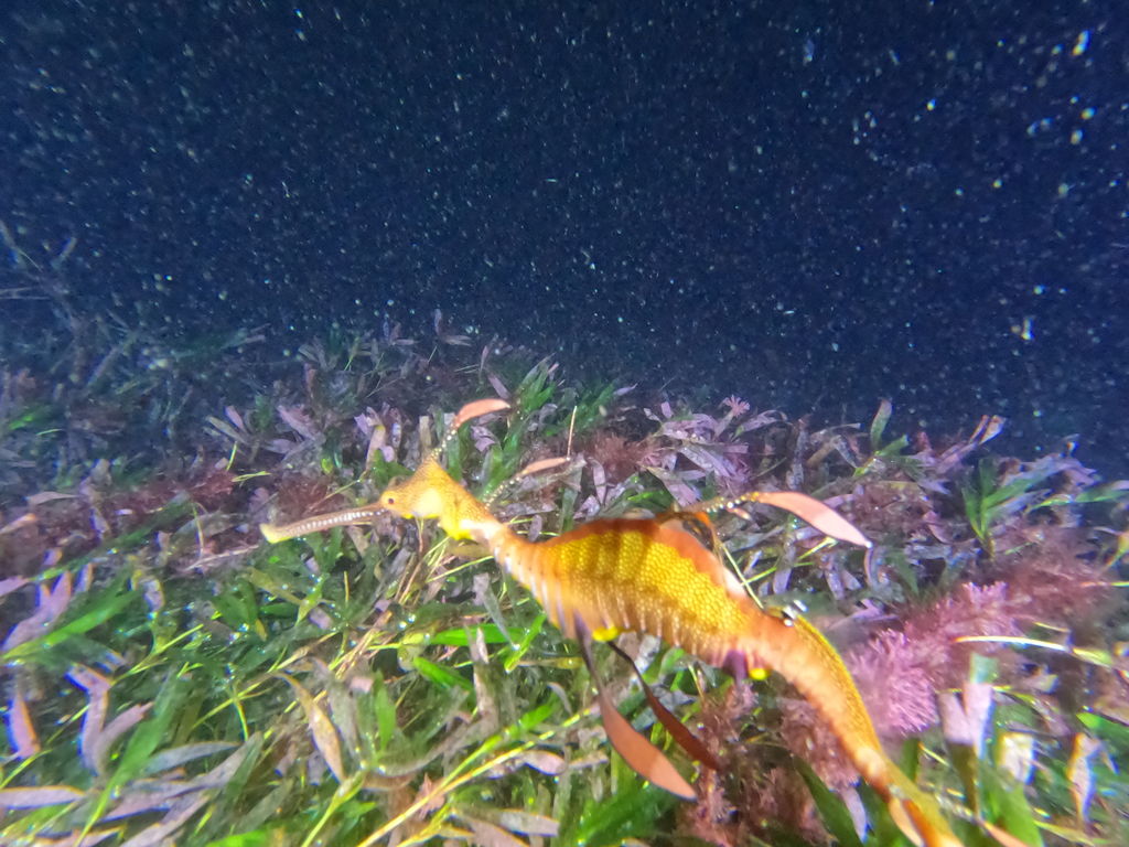 5c06c837-3f24-458b-84fa-d5a12ba460c1