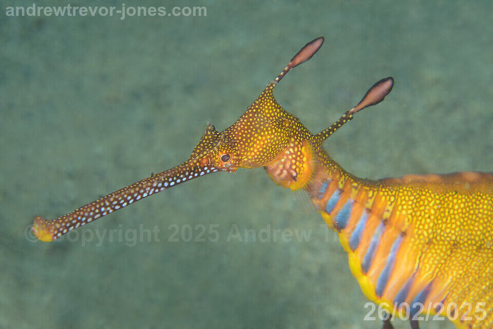 eeddec91-1a51-4207-8f13-bbe7af044e02