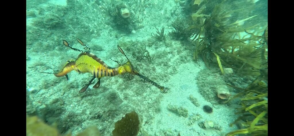 38044f13-0b75-4b61-a1d1-4ee04cc4795f