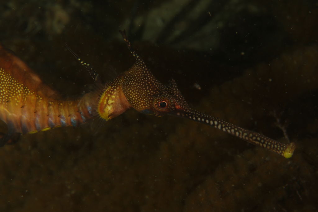 20a54726-128e-4a7f-ad91-6abed94d0a56