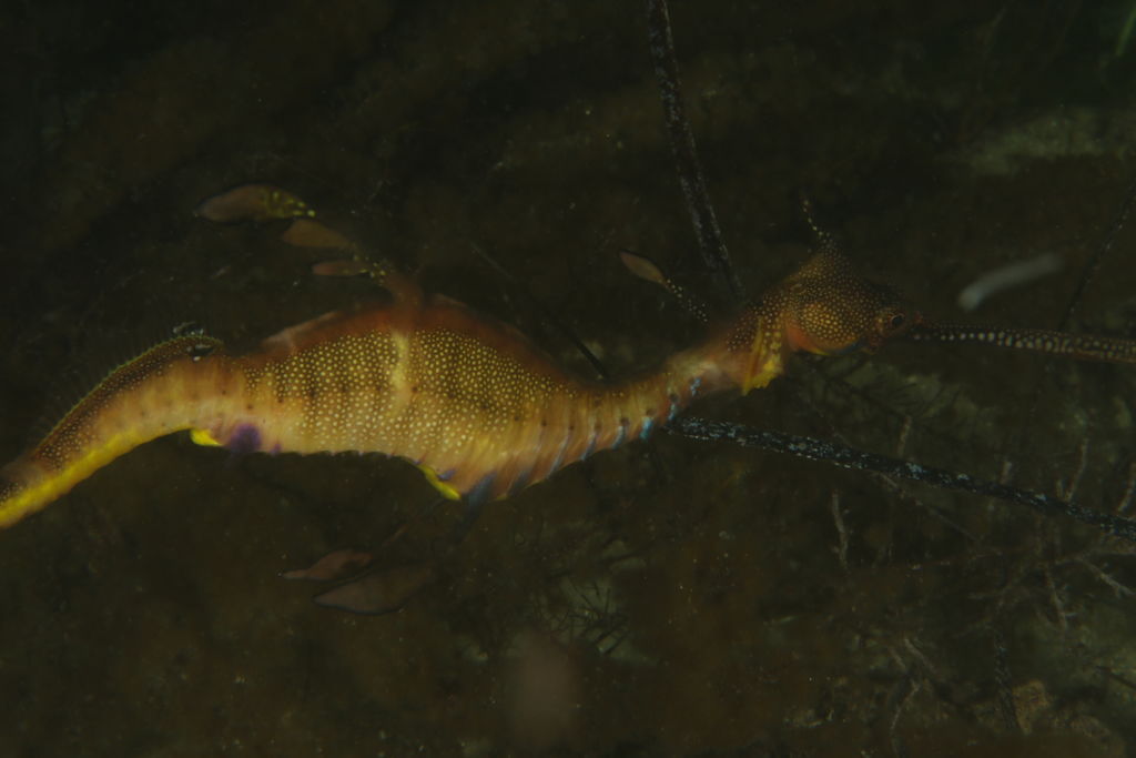 20a54726-128e-4a7f-ad91-6abed94d0a56