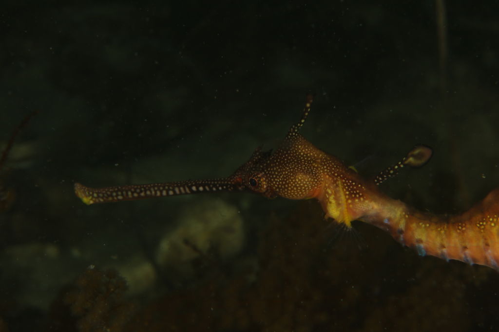 20a54726-128e-4a7f-ad91-6abed94d0a56