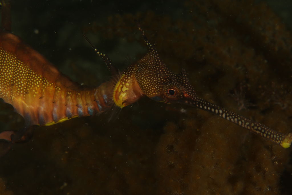 20a54726-128e-4a7f-ad91-6abed94d0a56