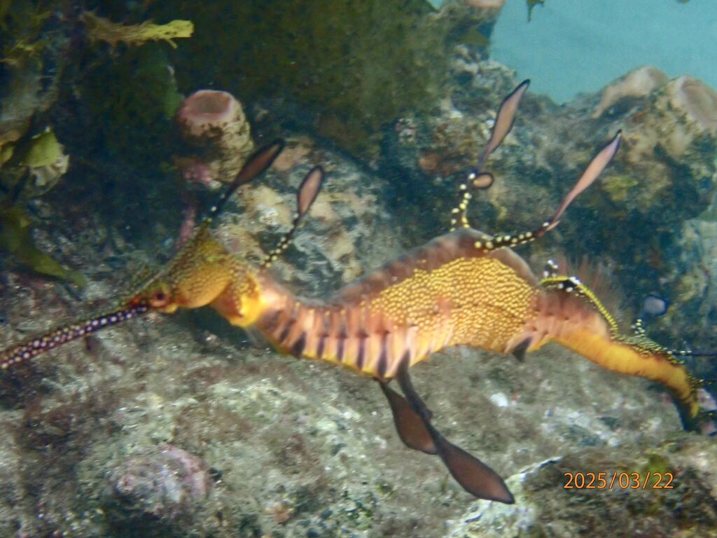 6c8c4a57-2bc8-4a92-a3bb-7e09c89ffbed