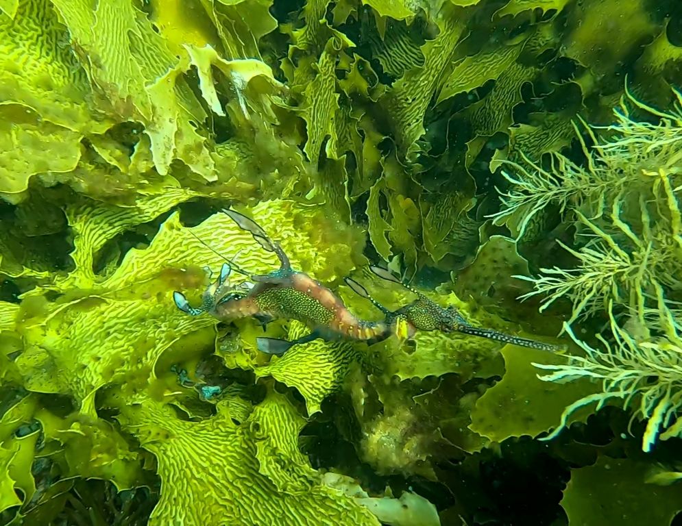 6014a666-c639-4bb7-8954-7b82b7cd8f88