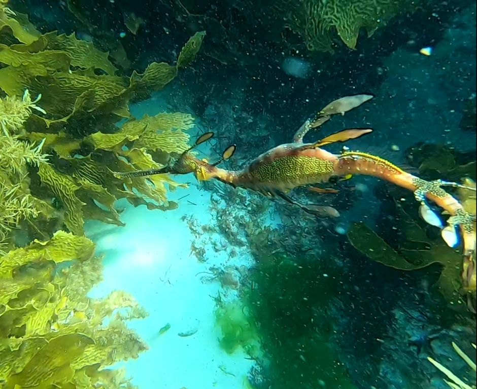 6014a666-c639-4bb7-8954-7b82b7cd8f88