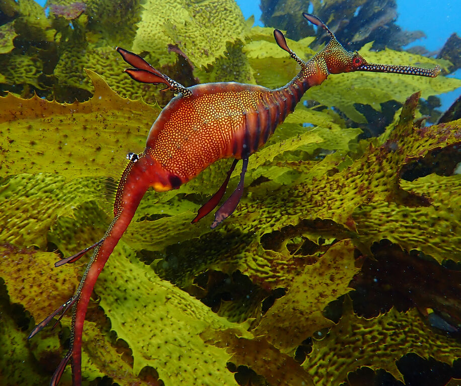 41b11cf9-6e34-4614-ab2f-3e6fc09065a3