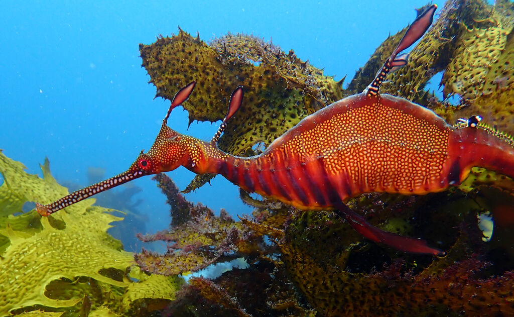 41b11cf9-6e34-4614-ab2f-3e6fc09065a3