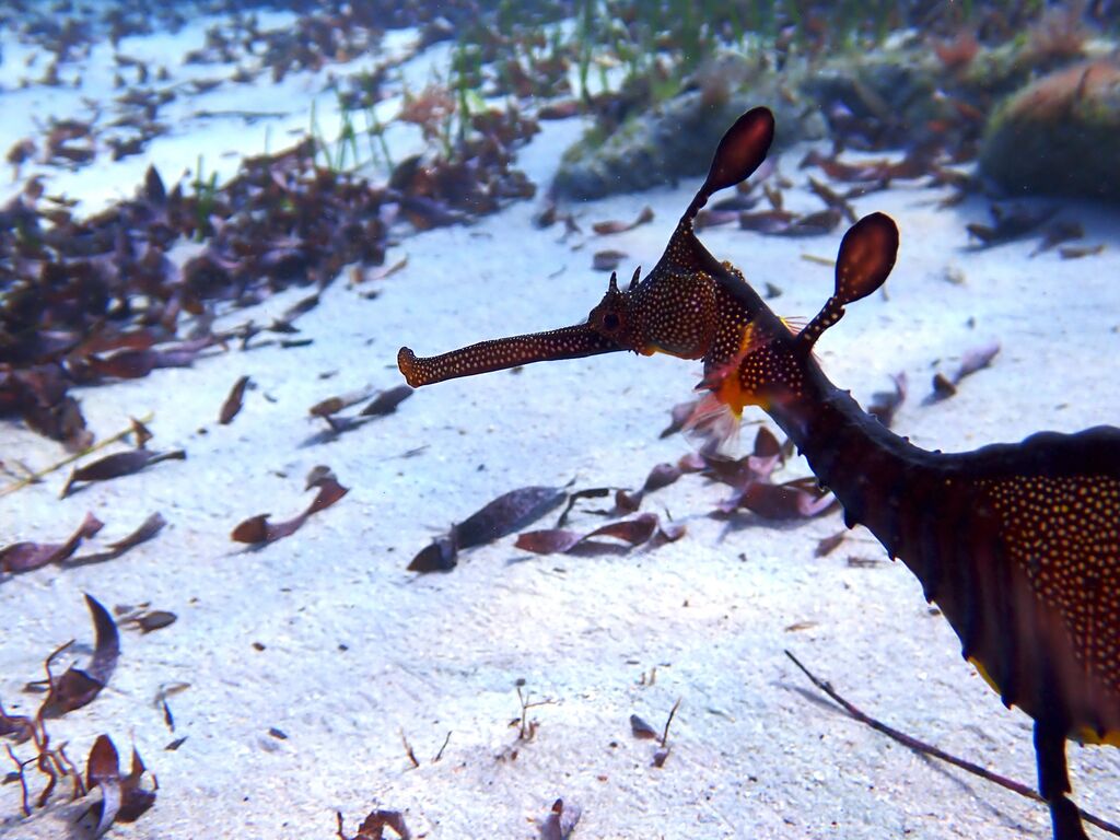 38063f36-6002-47cb-8e9d-475e58c8e54a