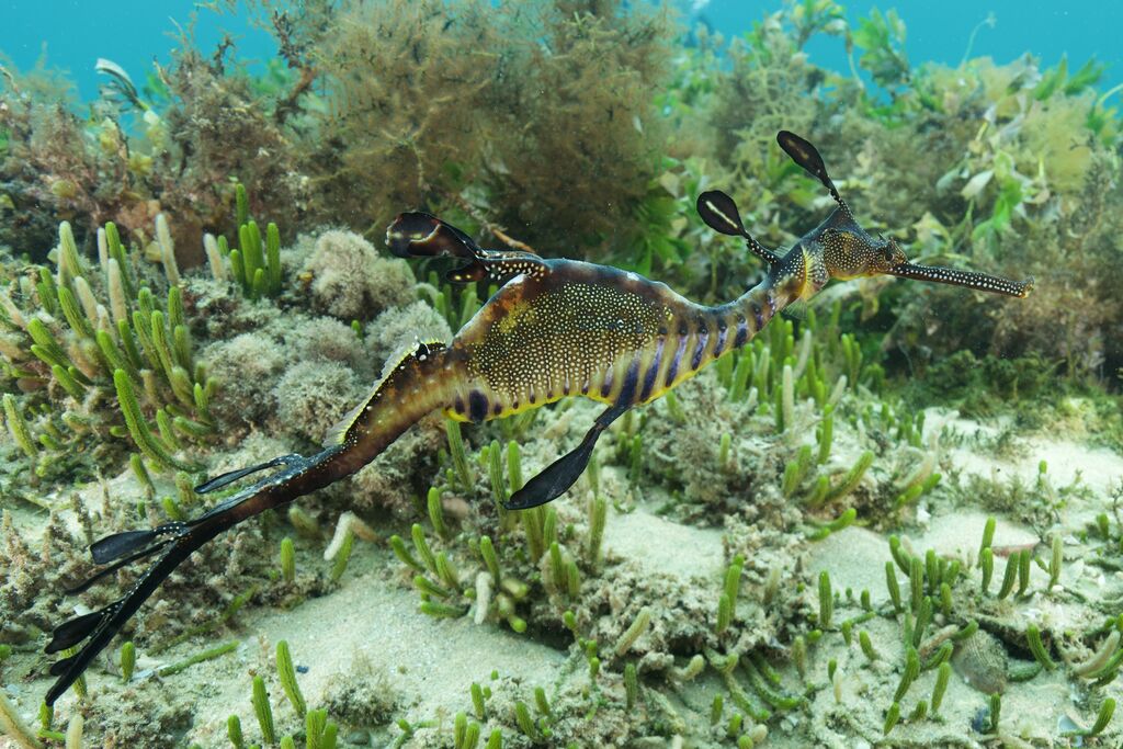 bd611933-f95f-454e-9d66-948d6419de1e