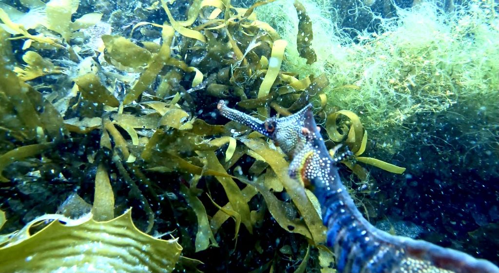 55ac1b32-b2ed-4ddd-b9aa-6dd890b590eb