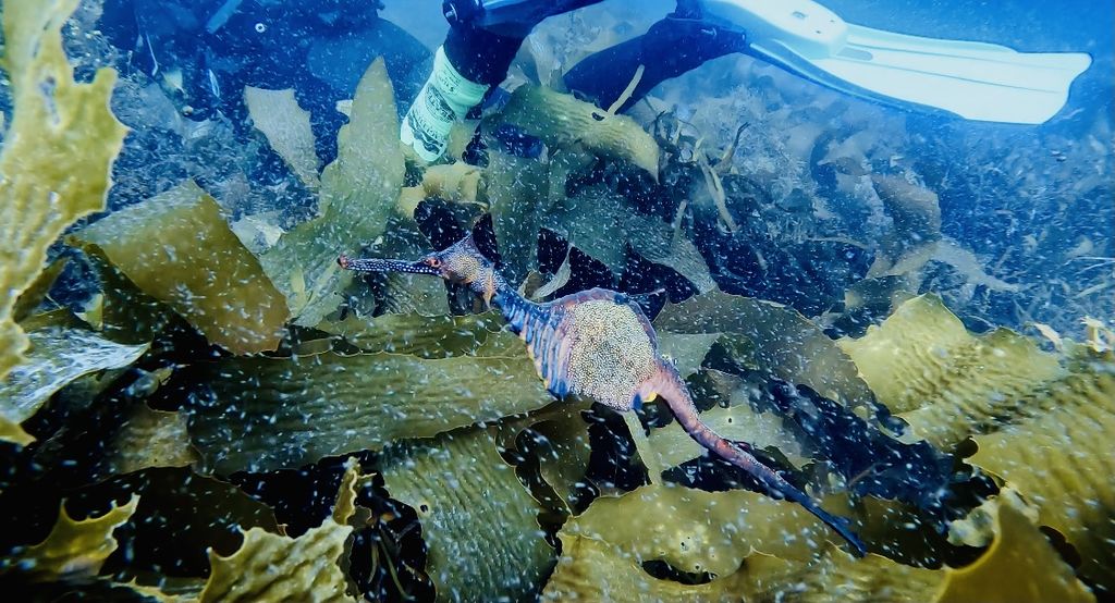 55ac1b32-b2ed-4ddd-b9aa-6dd890b590eb