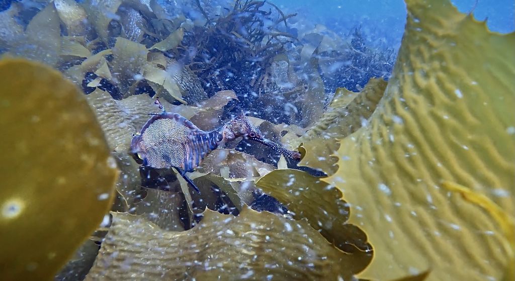 55ac1b32-b2ed-4ddd-b9aa-6dd890b590eb