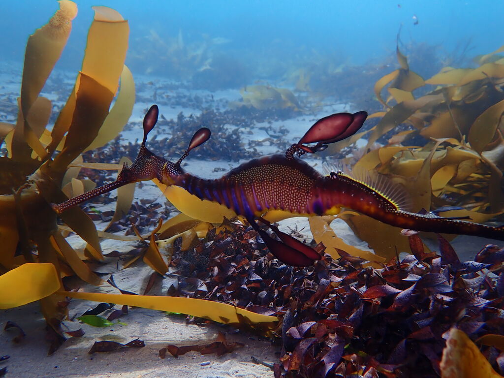 cad05182-263f-478d-95b1-f69bd9ae3754