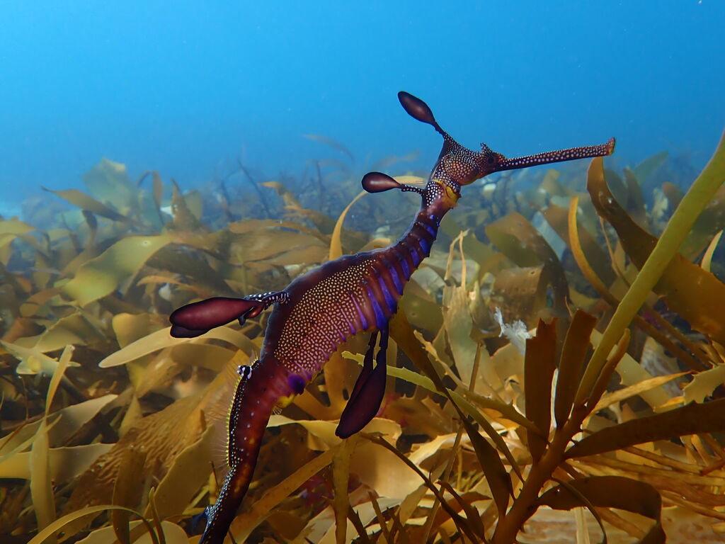 cad05182-263f-478d-95b1-f69bd9ae3754