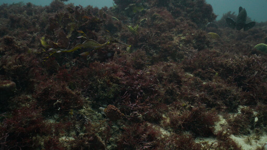 ae0a483d-52ad-473f-9c53-166102b96509