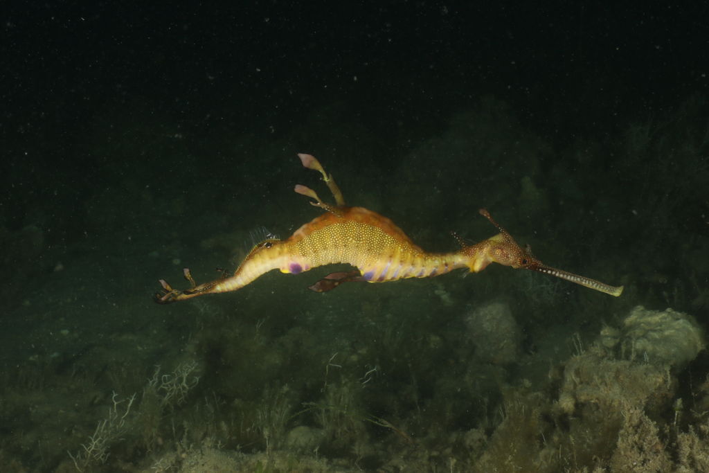 2a5890b0-f787-4df1-b4a0-99a27426d05e