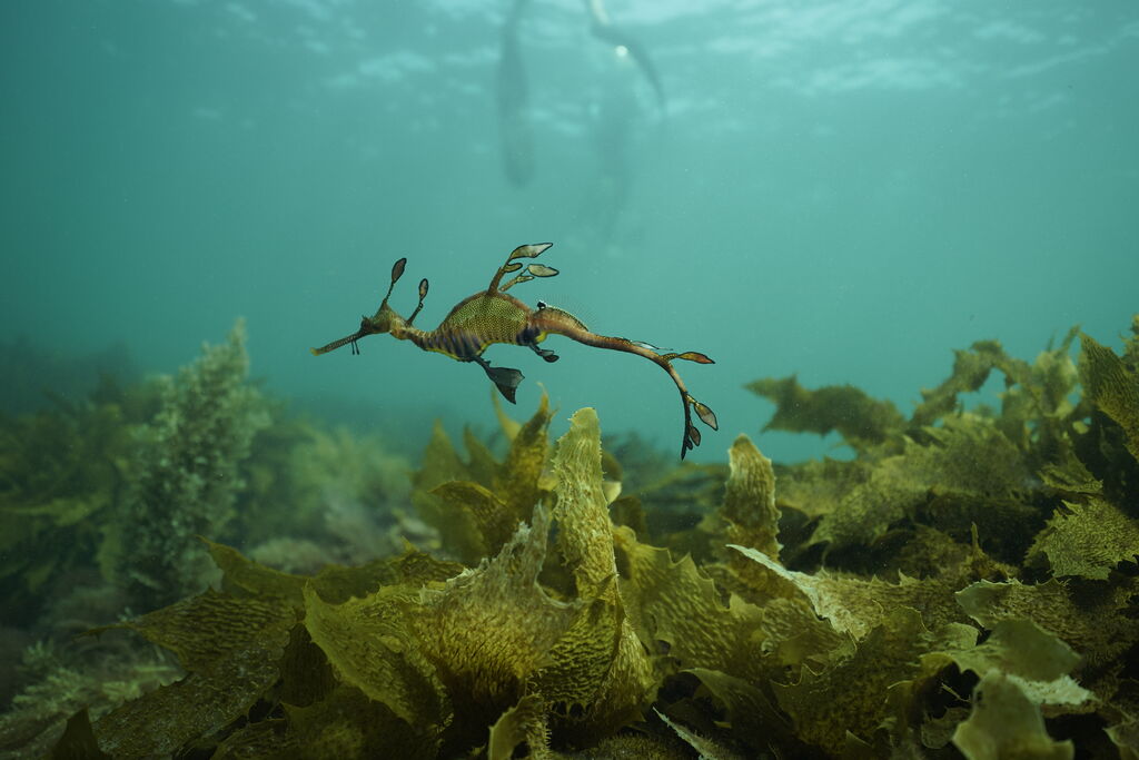 e106d187-122d-4c05-b674-7905d96eba08