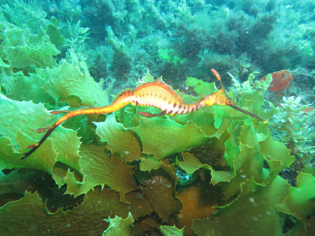 be6c2622-e107-4011-b226-e18e0b75a500