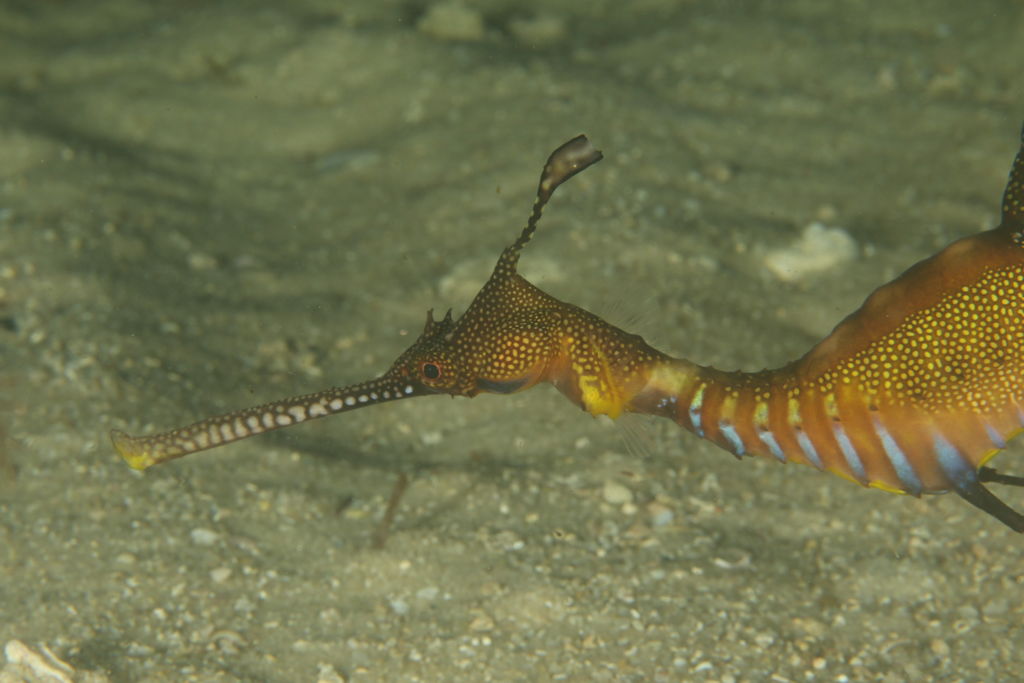 e2424903-692d-45f4-82b7-5e64449ee7a7