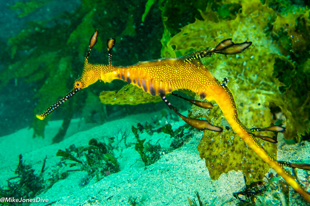 98b3717e-82b0-4431-862d-14c2b6f4c3d4