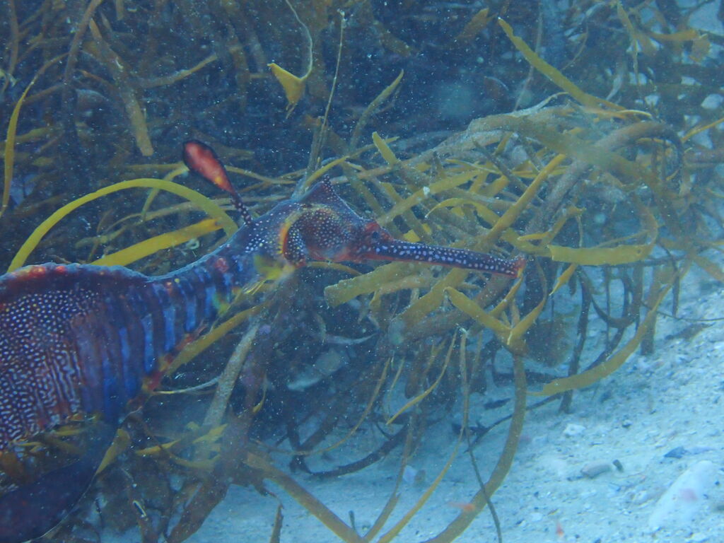 9b2f099c-cd55-4c74-a7a2-6e74a8b3c263