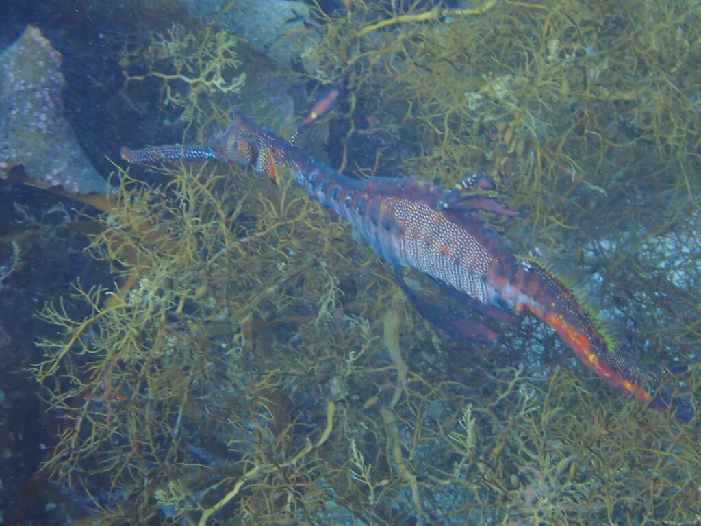 9b2f099c-cd55-4c74-a7a2-6e74a8b3c263