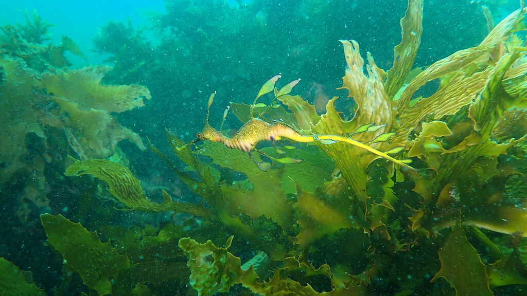 379282e7-d253-4b1d-93d6-58a5d7cb6d00