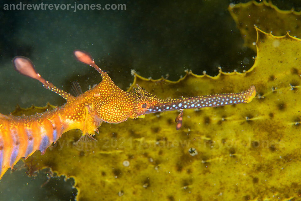 1a6e4338-813e-4ba0-be2c-79419c73fde7