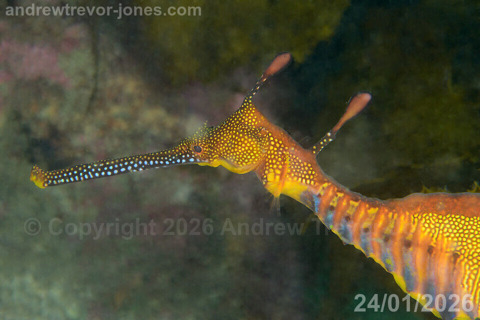 c3ab5a79-aba3-4364-9a3b-d76f767f02c9