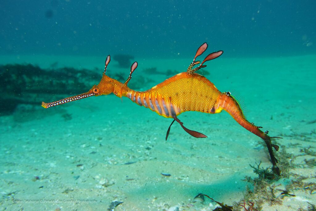 984d9dd7-869c-46ce-a81a-109184f48d83