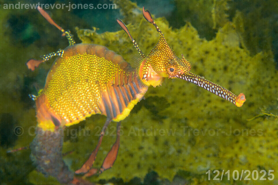 3b8f704a-c4df-4cd9-bbec-6ca92ea2f8c6