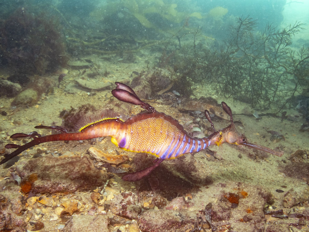 2759819a-0675-402a-b504-4bcbd540381d