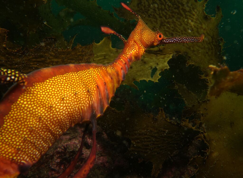 dd95959b-7e16-4a12-ae66-c6961497c6f1