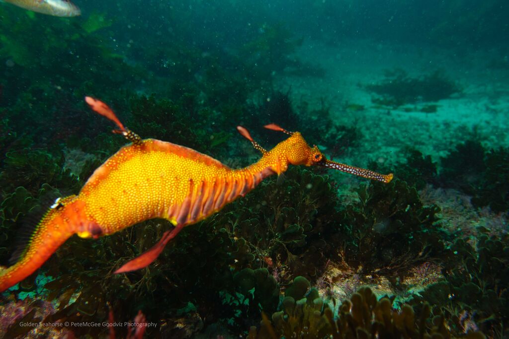 1a1df6f0-1c44-4d9c-a2ce-12e7249aea71