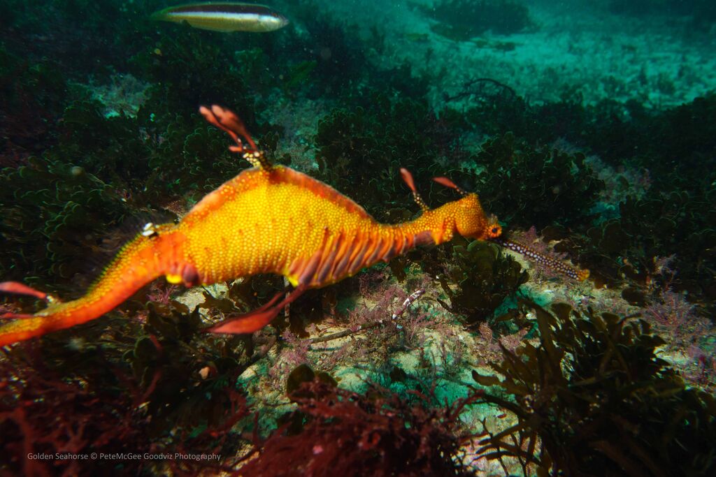 1a1df6f0-1c44-4d9c-a2ce-12e7249aea71